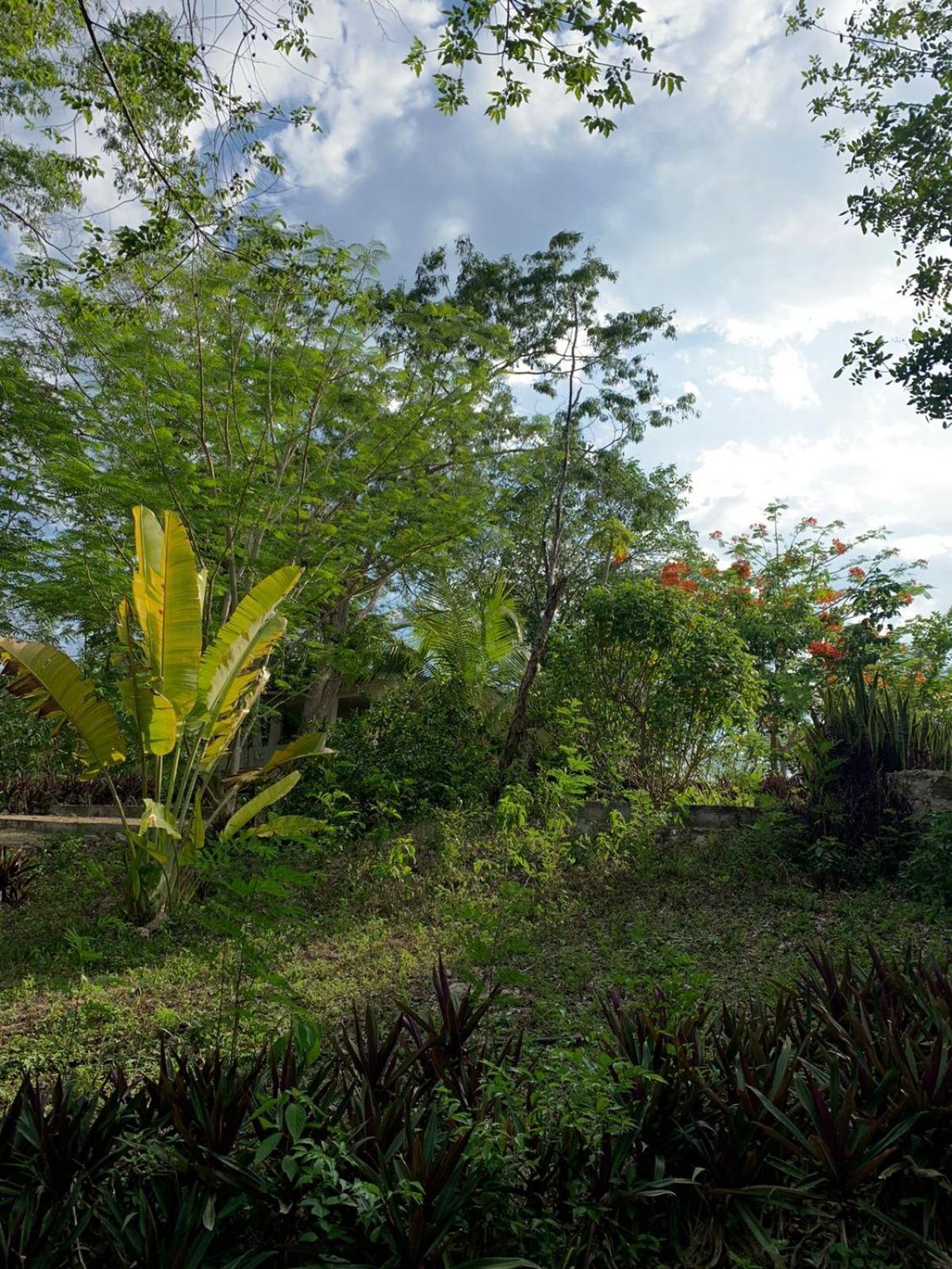 El Encanto - Hotel Boutique Chichén-Itzá Zewnętrze zdjęcie