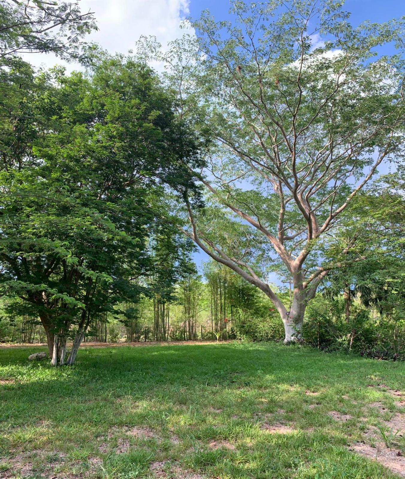 El Encanto - Hotel Boutique Chichén-Itzá Zewnętrze zdjęcie